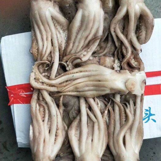 荣成市真鱿 单冻头！机洗头