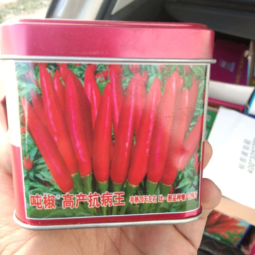 巨野县三樱椒种子 精品抗病高产辣椒种