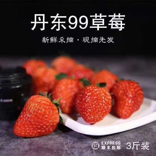 东港市红颜草莓  全国发货丹东东港特产99牛奶草莓支持一件代发欢迎微商 电商