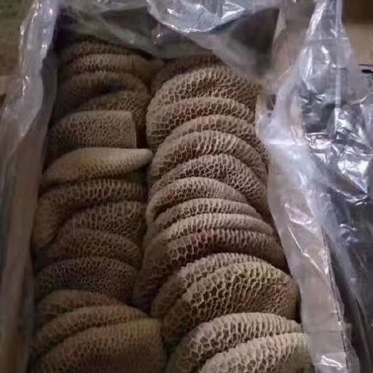 中牟县牛肚 金钱肚