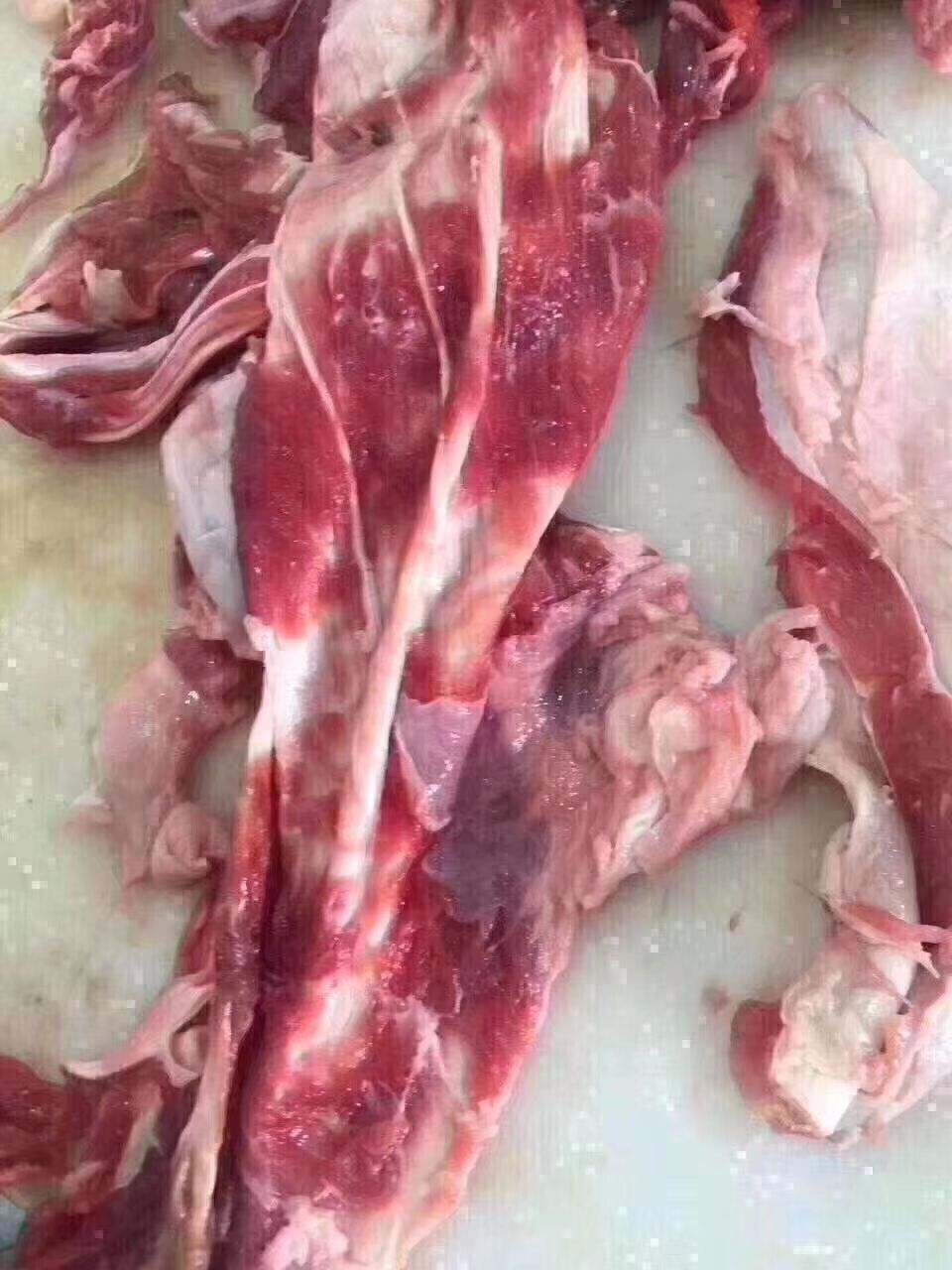  純干牛肉筋