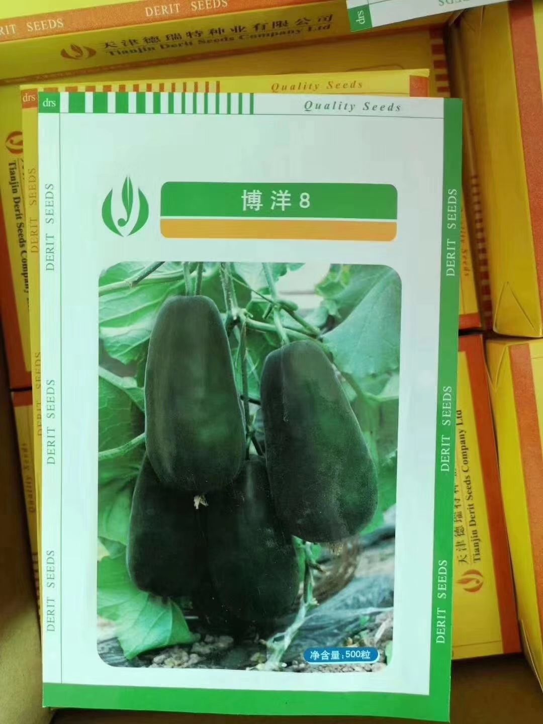 博洋甜瓜种子 博洋8种子