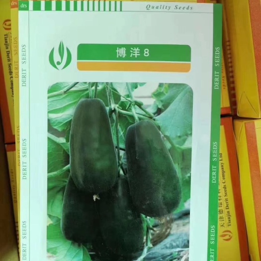 昌乐县博洋甜瓜种子 博洋8种子
