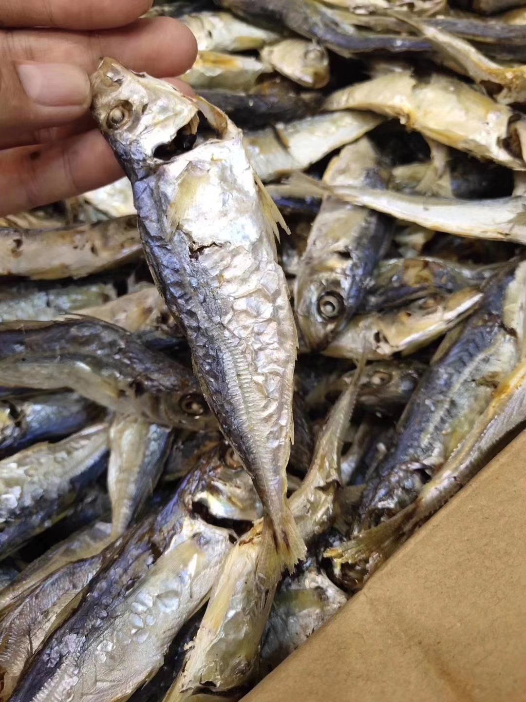 巴浪鱼干