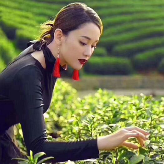 安吉县安吉白茶 统货 礼盒装