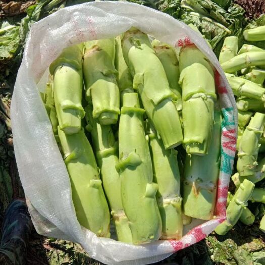 茶陵县芥菜头