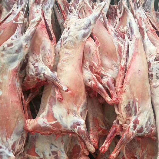滑县 羊肉羊白条