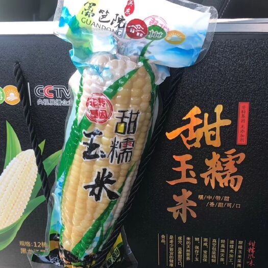 五常市甜糯玉米种子 关东篱笆院玉米