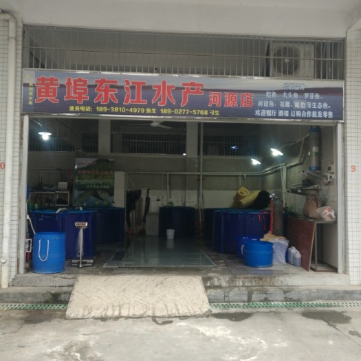 龙川县水库草鱼 客家古邑：枫树坝水库生态鱼
只有鲜味无腥味，无公害绿色产品。