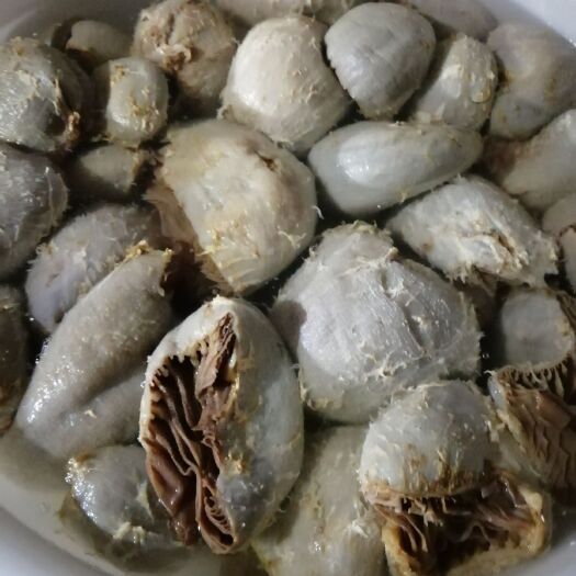 菏泽 毛肚，牛百叶