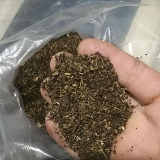 揭阳毛茶 大量出售茶末