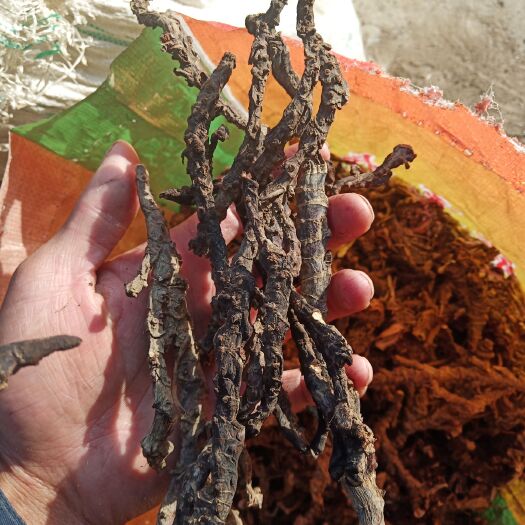 阳山县石菖蒲  石昌蒲，价格美丽，什么价格都有