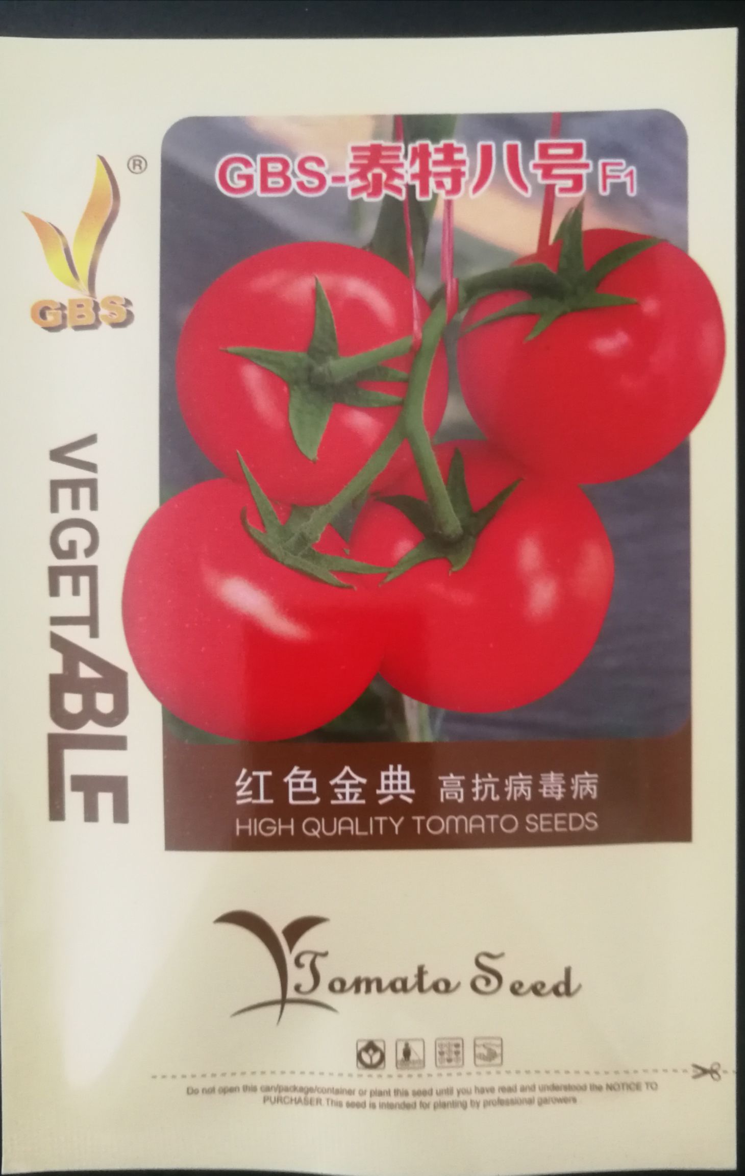 红果番茄种子 番茄种子