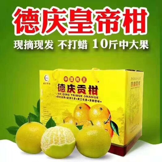 德庆县纸箱，皇帝柑十斤礼品装纸箱批发