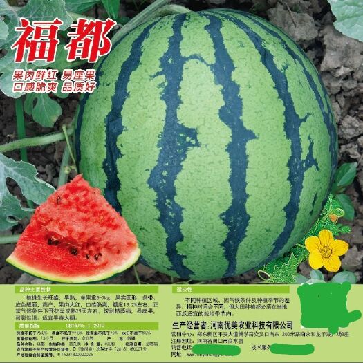 商水县美都西瓜种子 美都类型西瓜，口感好，含糖量高，耐裂，产量高