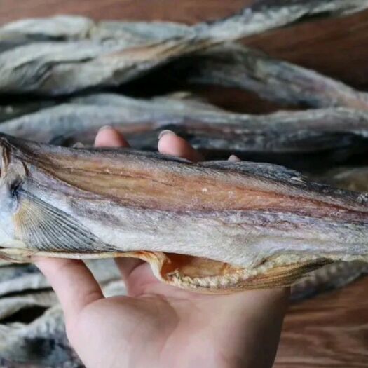 贵港柴鱼干 ，适合煲汤煲粥营养价值很高哟，孕妇小孩老人吃了很好