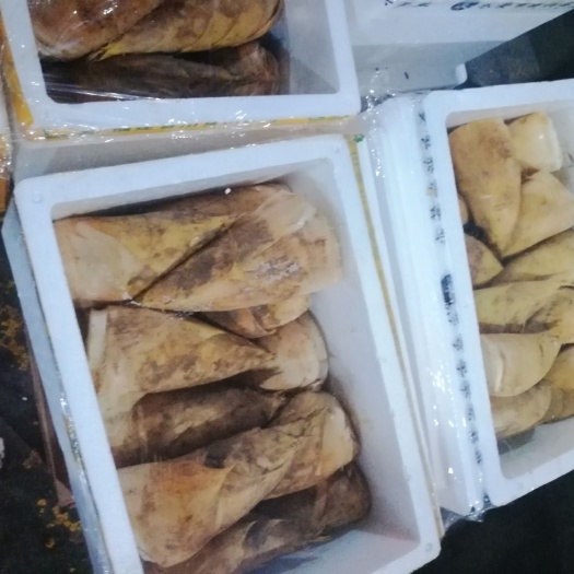 绩溪县冬笋 每天货品新鲜
