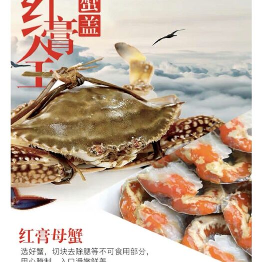 上海青蟹 舟山炝蟹AAA