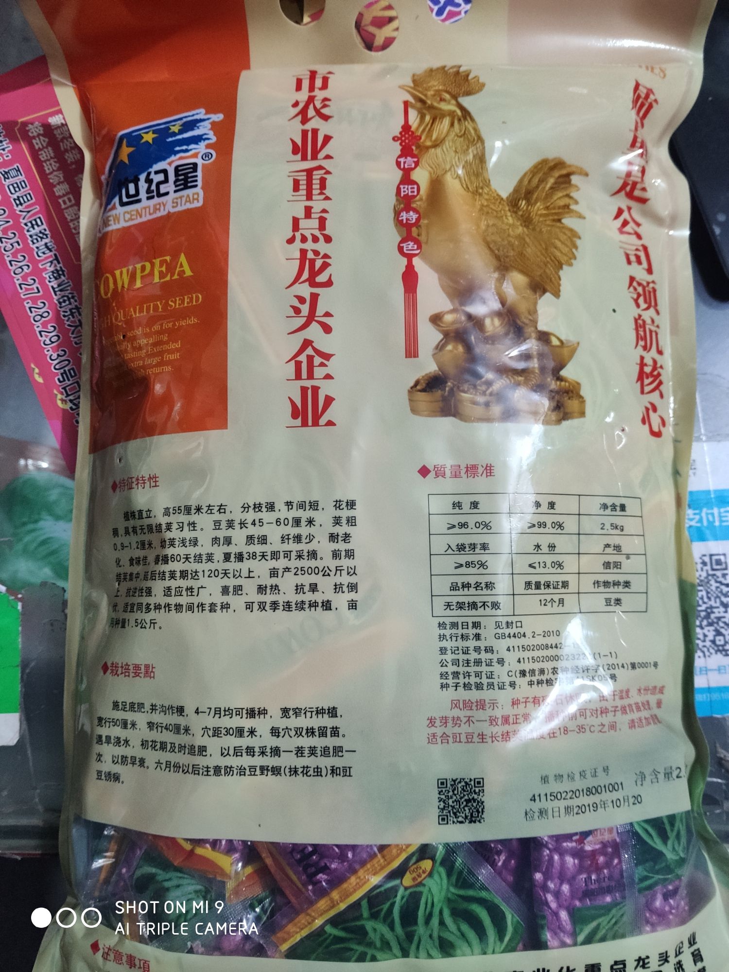 无架摘不败 豆角种子 早熟 更长 口感好