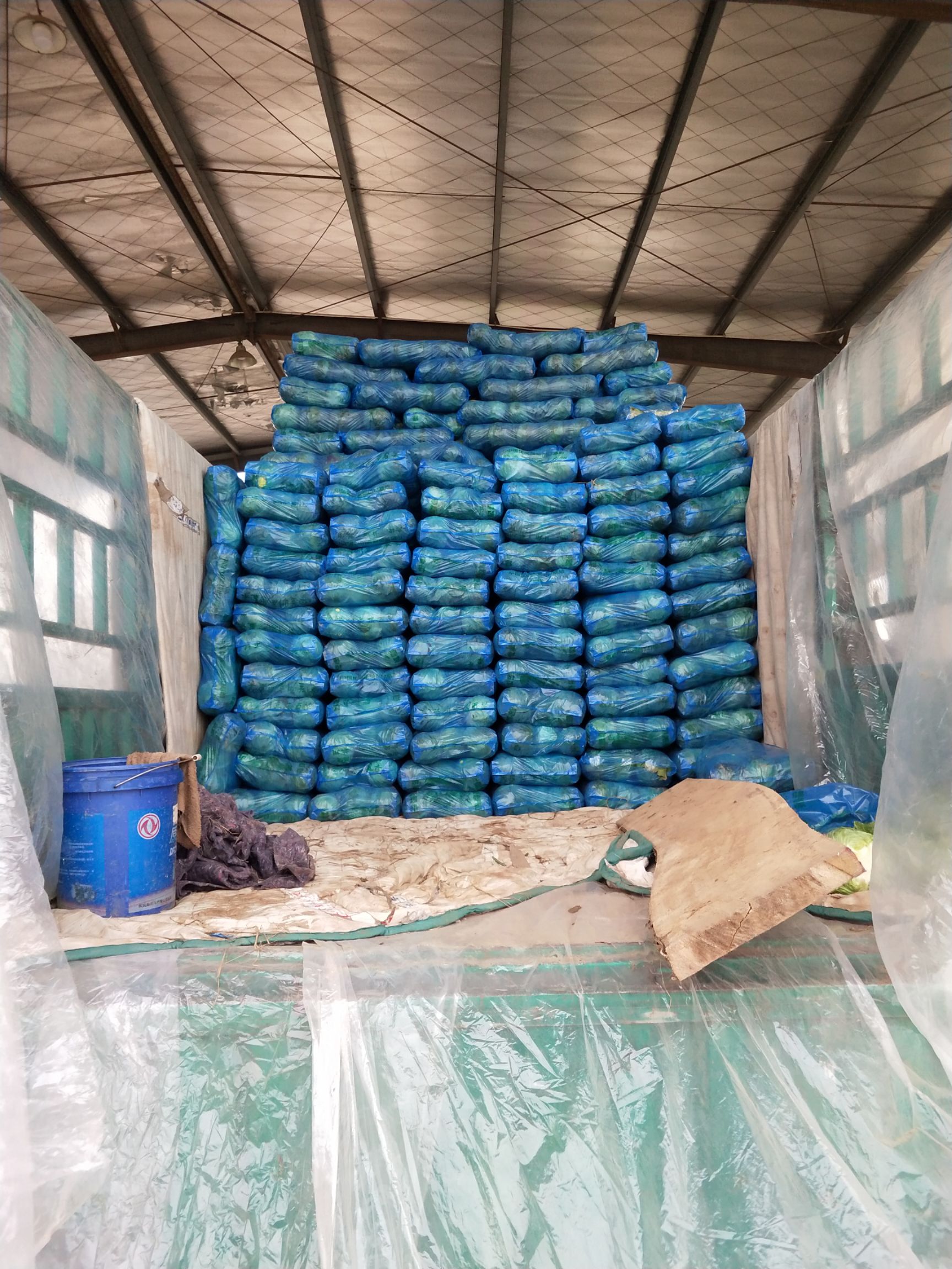 包菜 湖北省咸宁市嘉鱼县 1.0~1.5斤