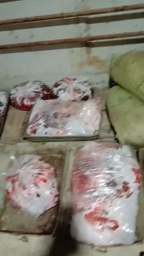  放牧骡子肉