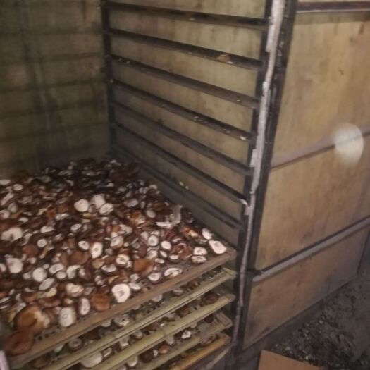 阜平县 阜平老香菇干货