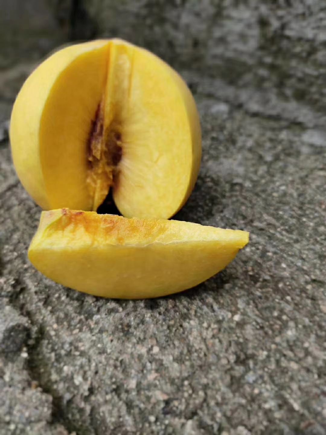 冬桃苗冬桃黄桃，冬桃红桃晚熟桃