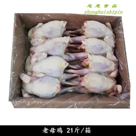 南京鸡肉类 新鲜冷冻老母鸡 精选老母鸡21斤7-9只装煲汤母鸡整
