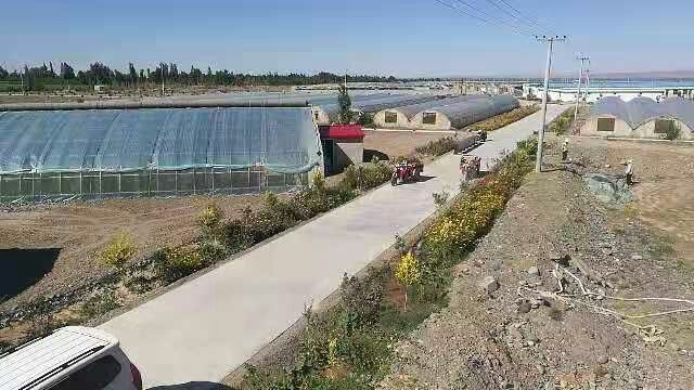 荒地 5A级景区附近农业园区出租或寻合伙人