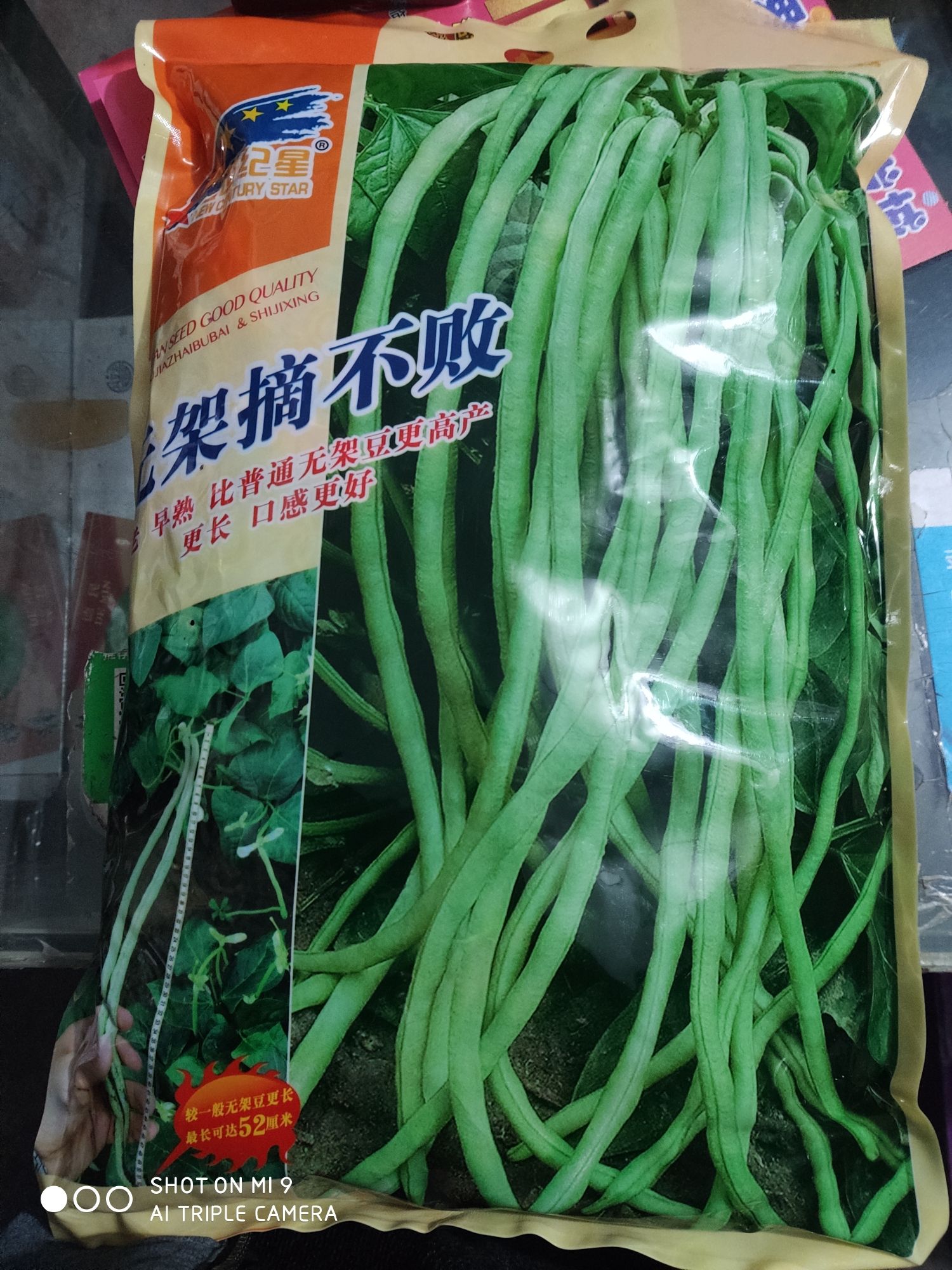 无架摘不败 豆角种子 早熟 更长 口感好