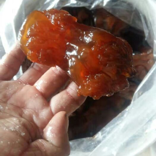 济南 海蜇头
