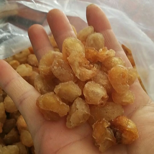 乐业县肉桂