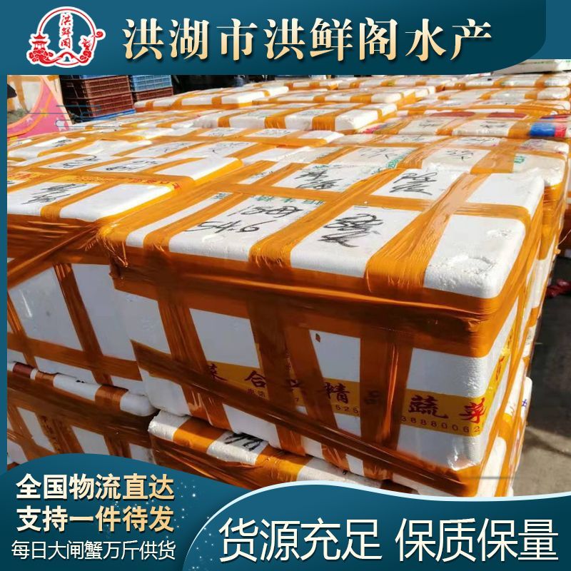 洪湖市洪湖清水大闸蟹上市，产地直供 膏满黄肥 死蟹包赔