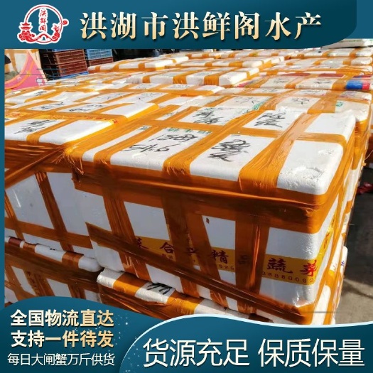洪湖市洪湖清水大闸蟹上市，产地直供 膏满黄肥 死蟹包赔