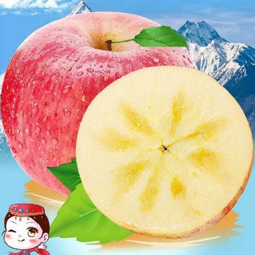 平邑县冰糖心苹果苗  新品种  基地直销 现挖现发 量大从优技