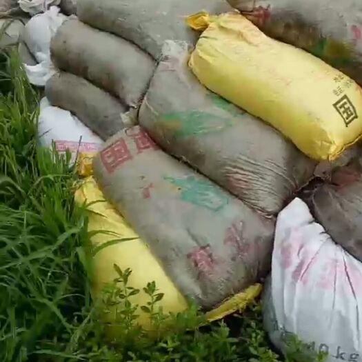 德阳高品质有机肥干牛粪