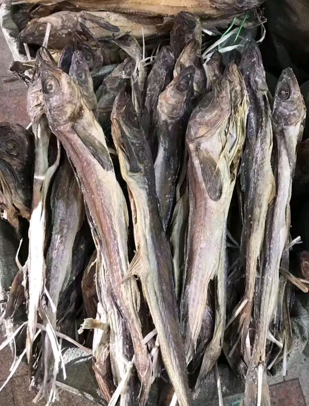 柴鱼干 ，适合煲汤煲粥营养价值很高哟，小孩老人吃了很好