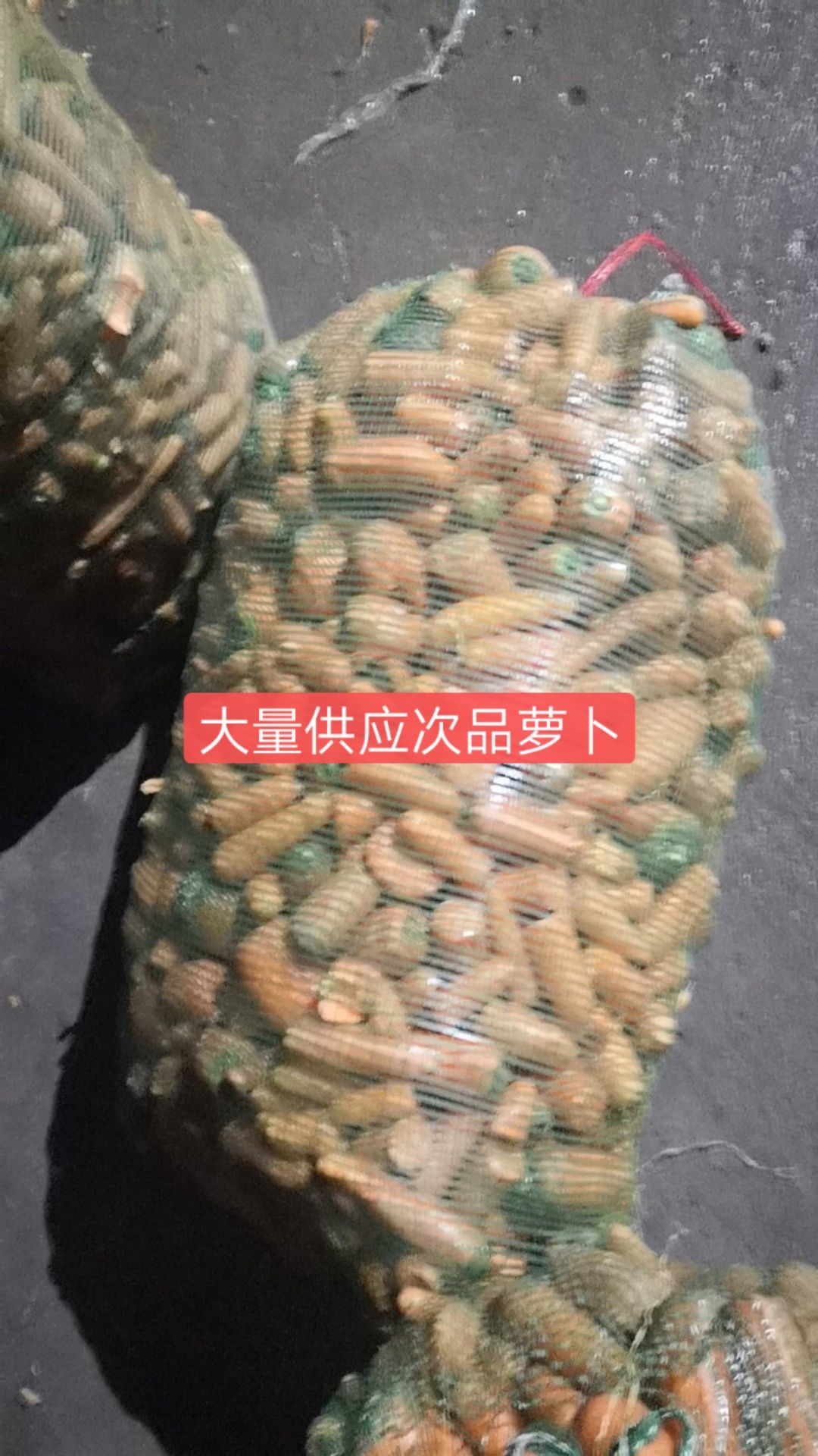 胡萝卜渣 水洗次品胡萝卜