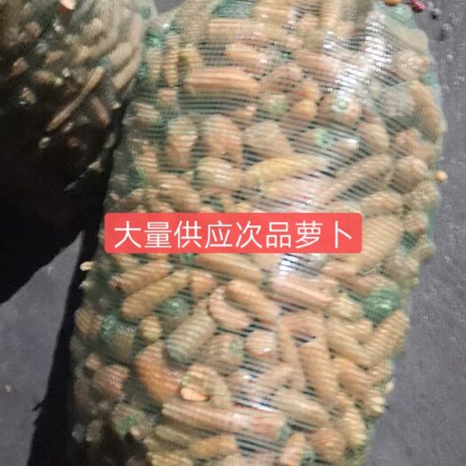 东台市胡萝卜渣 水洗次品胡萝卜