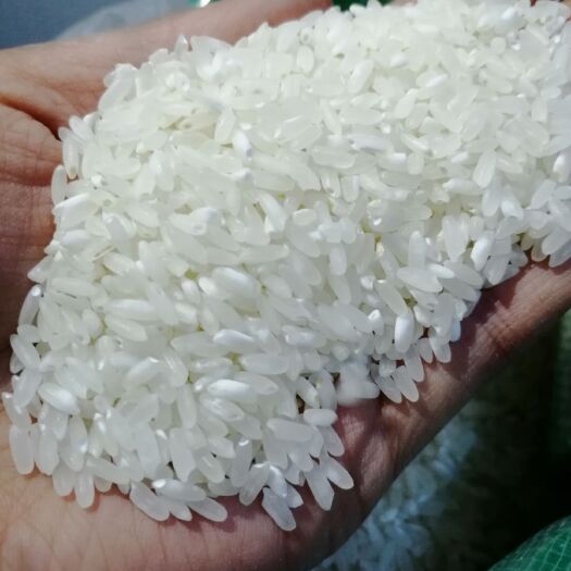 榆树市 纯自然河水灌溉的 稻花香大米