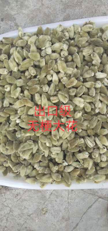 南召县辛夷  花批发，毛桃，手选货，颗颗精品