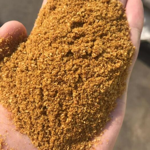 石家庄 玉米酒糟 常年稳定供应厂家直销