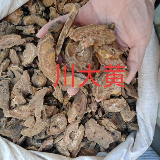 安国市西大黄川大黄土大黄马蹄大黄