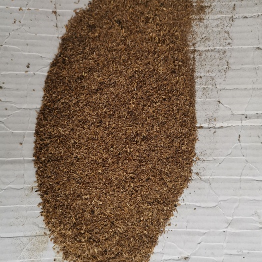徐州 烘干啤酒糟质量好