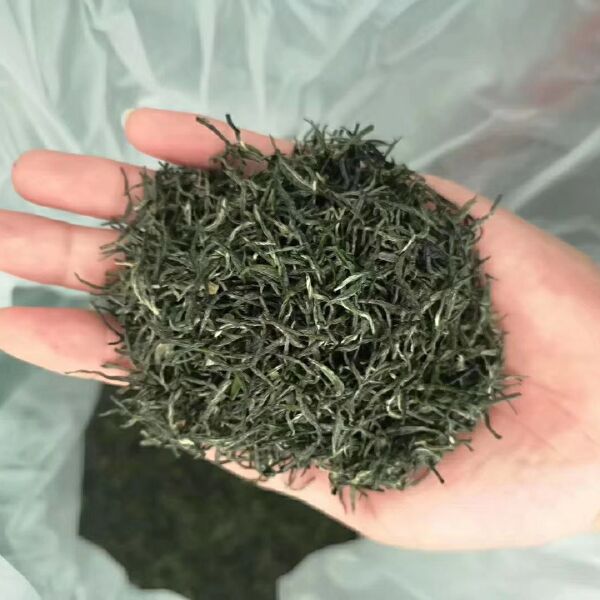 银毫茶 信阳毛尖 明前茶纯芽 特级茶  高档礼盒包装