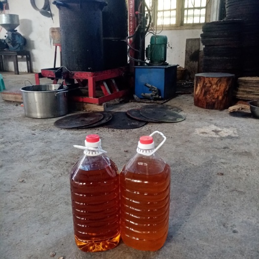 桂阳县自家种的300亩山茶油，纯手工土榨