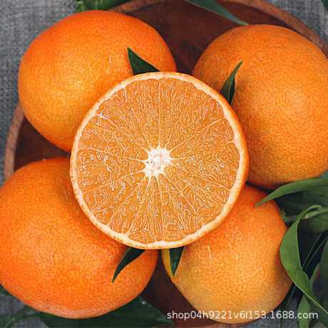  纽荷尔脐橙种植基地，新品上市