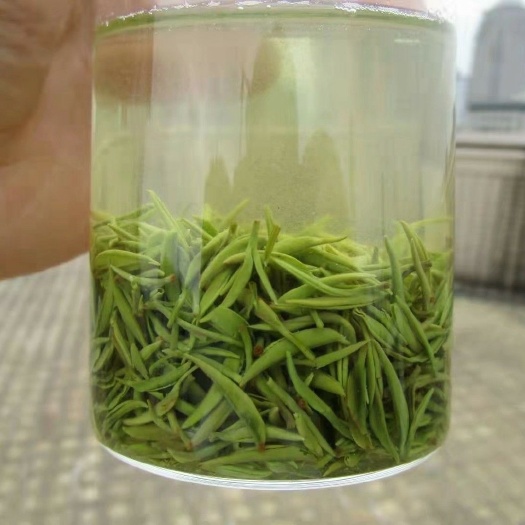 信阳银毫茶 信阳毛尖 明前茶纯芽 特级茶  高档礼盒包装