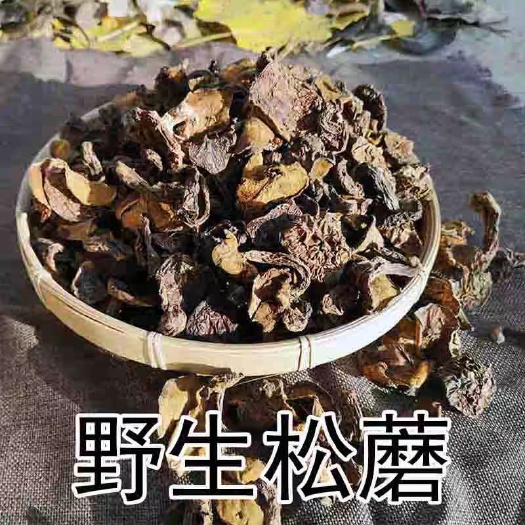 喀左县生野干榛蘑  松蘑菇野自然风干朝阳特产无污染粘团子菌菇包邮
