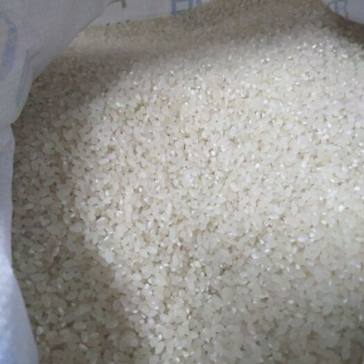 秦皇岛东北大米 一等品 一季稻 粳米